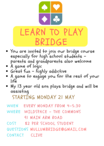 BRIDGE LESSONS FOR KIDS! @ wildspace